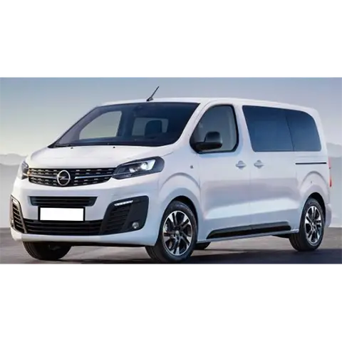 Passenger van / Light commercial vehicle