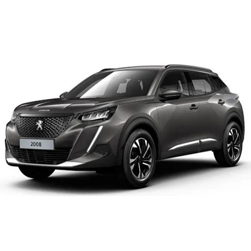 Passenger car / Light commercial vehicle