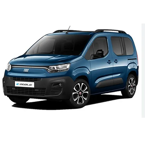 Passenger van / Light commercial vehicle