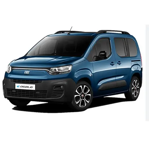 Passenger van / Light commercial vehicle