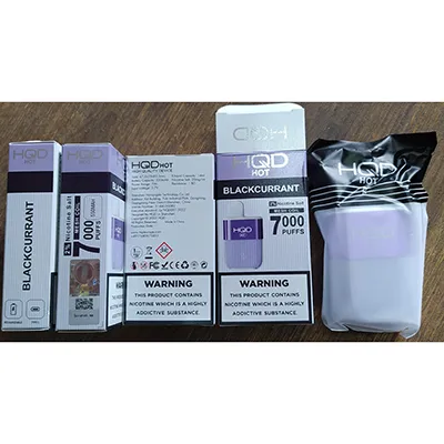 Disposable electronic cigarette