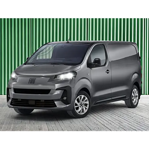 Passenger van / Light commercial vehicle