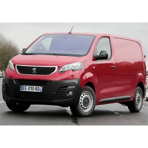 Passenger van / Light commercial vehicle