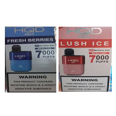 Disposable electronic cigarette