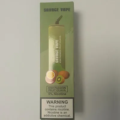 Disposable electronic cigarette