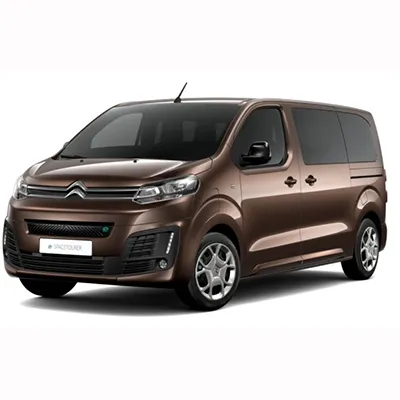 Passenger van / Light commercial vehicle