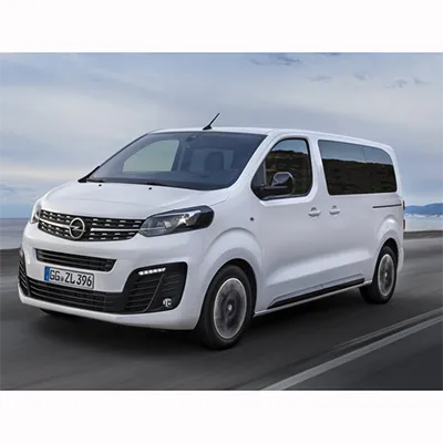 Passenger car / Light commercial vehicle
