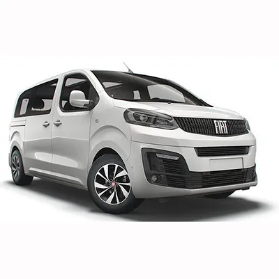 Passenger car / Light commercial vehicle