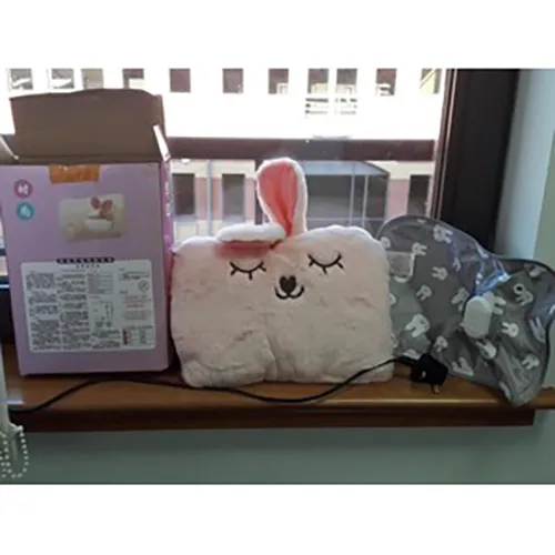 Electric hot water bottle