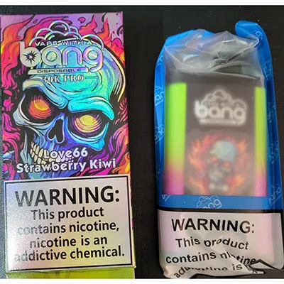 Disposable electronic cigarette