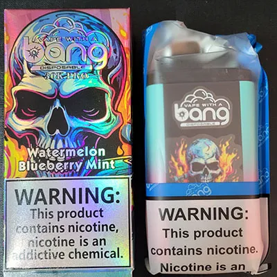 Disposable electronic cigarette