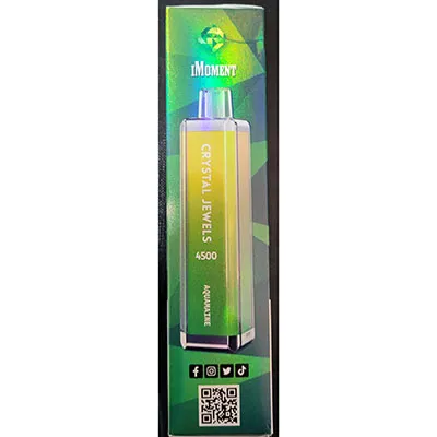Disposable electronic cigarette