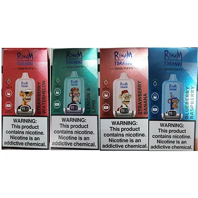 Disposable electronic cigarette