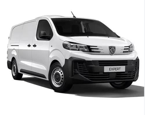 Passenger van / Light commercial vehicle