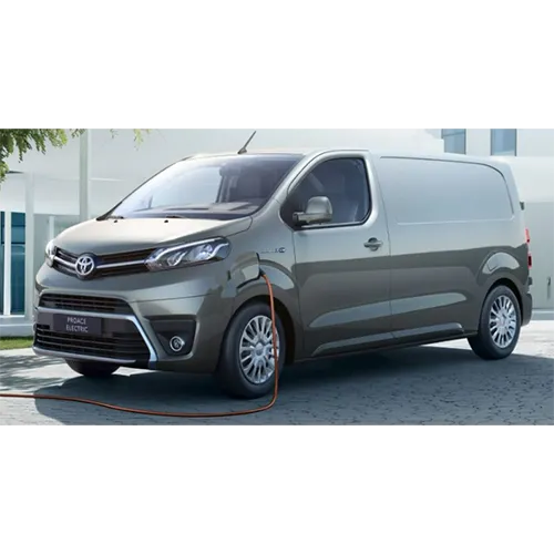 Passenger van / Light commercial vehicle