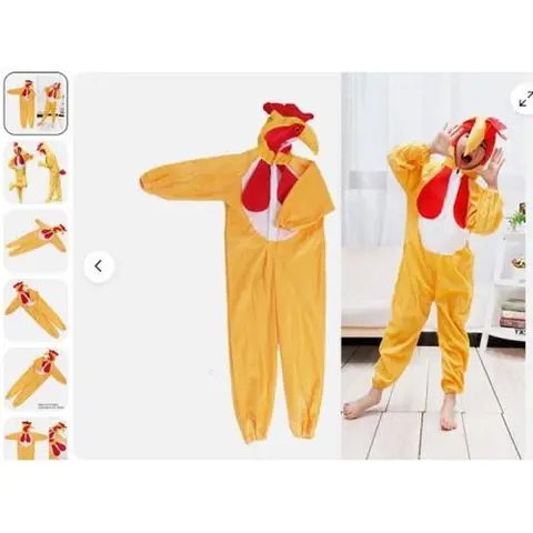 Fancy-dress costume