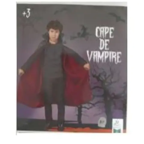 Children’s fancy dress costume