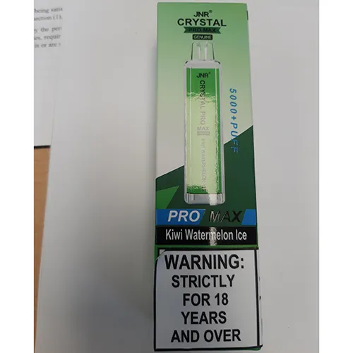Disposable electronic cigarette
