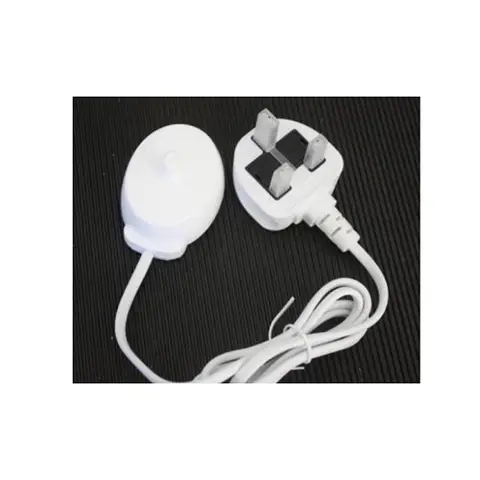 Electric toothbrush charger