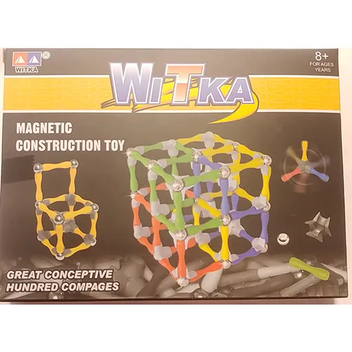 Magnetic toy