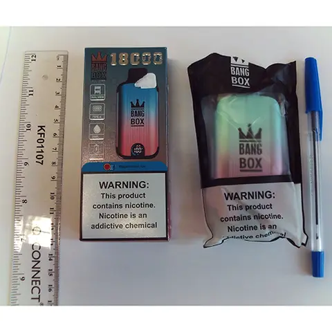 Disposable electronic cigarette
