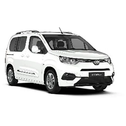 Passenger van / Light commercial vehicle