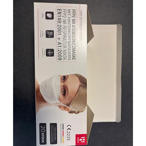 Particle filter mask