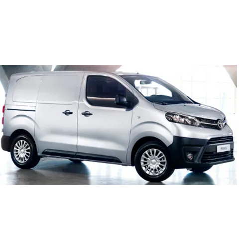 Passenger van / Light commercial vehicle