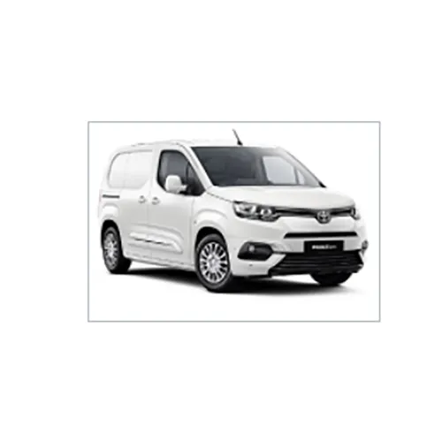 Passenger van / Light commercial vehicle