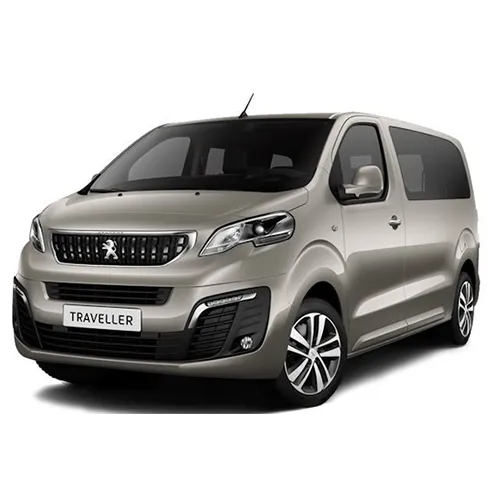 Passenger van / Light commercial vehicle