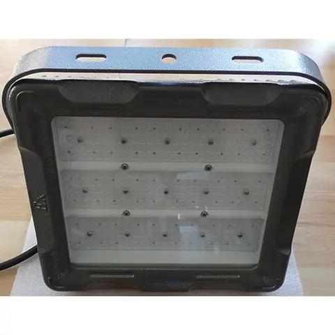 Explosion-proof light