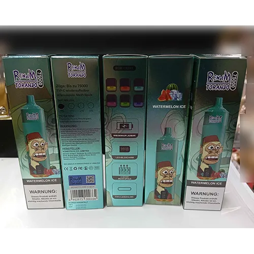 Disposable electronic cigarette