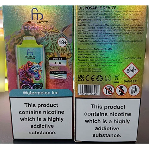 Disposable electronic cigarette