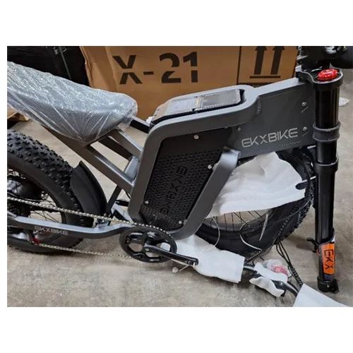 Electric motorcycle