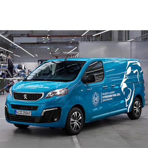 Passenger van / Light commercial vehicle