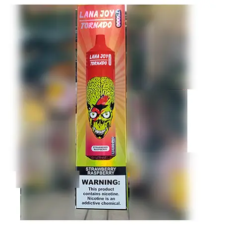 Disposable electronic cigarette