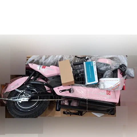 Electric bicycle