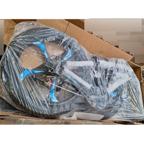 Electric bicycle
