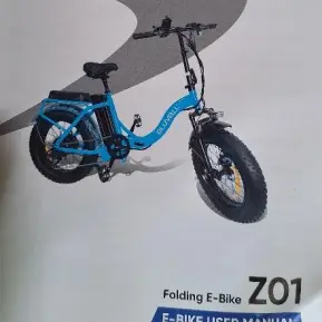 Electric bicycle