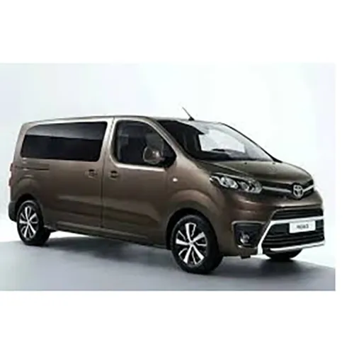 Passenger van / Light commercial vehicle