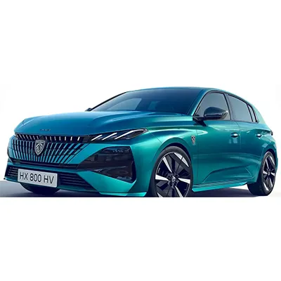 Легковой автомобиль / лёгкий коммерческий автомобиль