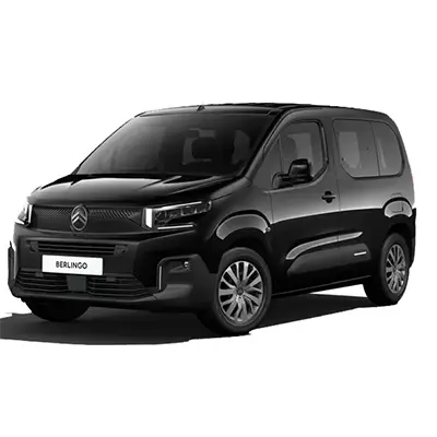 Легковой автомобиль / лёгкий коммерческий автомобиль