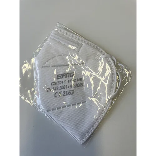 Particle filter mask