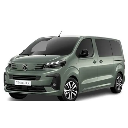 Passenger van / Light commercial vehicle