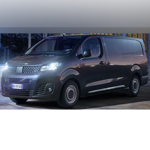 Light commercial vehicle