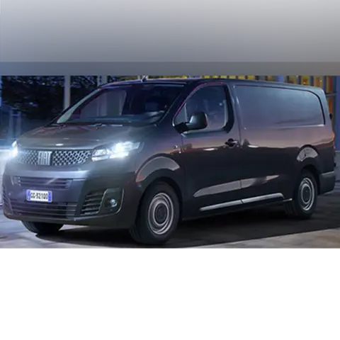 Light commercial vehicle
