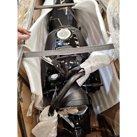 Electric motorcycle