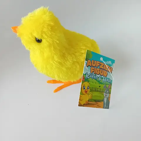 Wind-up toy