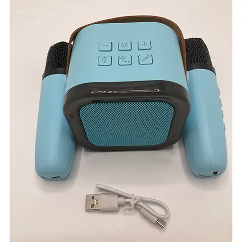 Wireless Karaoke set