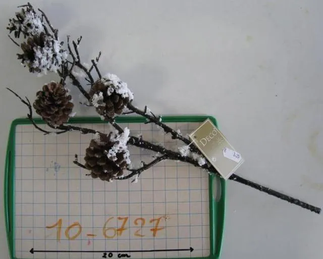 Decorative branches with pine cones
